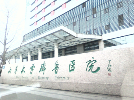 未标题-2.png